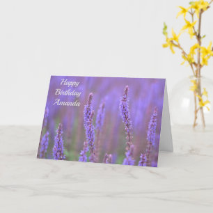 Meer der violetten Blumen bei RHS Wisley Karte