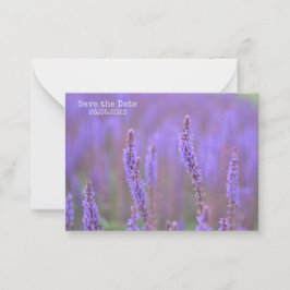 Meer der violetten Blumen bei RHS Wisley Save the Mitteilungskarte