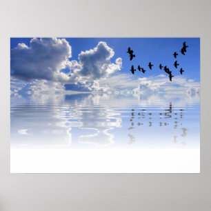 Meer Poster