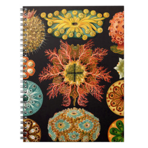 Meer spritzen Quadrat Notizblock