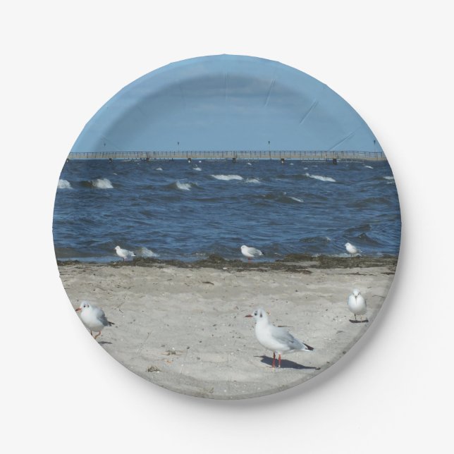 Meer, Wasser, Möwen, Vögel, Reisen, Blau, Himmel, Pappteller (Vorderseite)