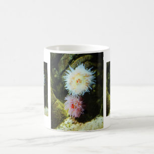 Meeranemonen Kaffeetasse