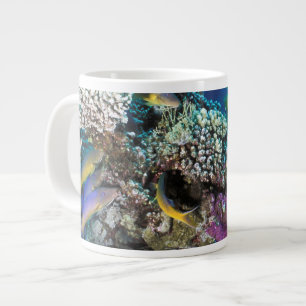 Meerbarben Schwarm um kleines Korallenriff Jumbo-Tasse