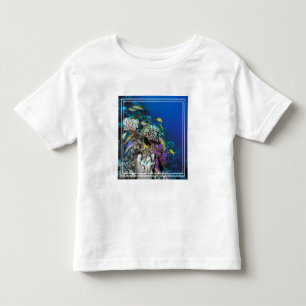 Meerbarben Schwarm um kleines Korallenriff Kleinkind T-shirt