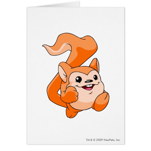 Meerca Orange (Vorne)