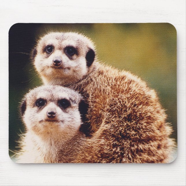 Meercat Mousepad (Vorne)
