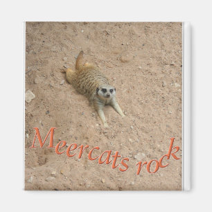 Meercats Felsen! Magnet