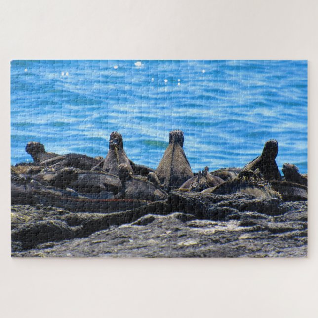 Meerechse (Horizontal)