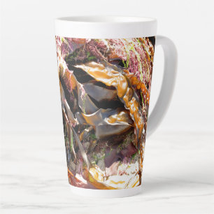 MEERESALGE MILCHTASSE