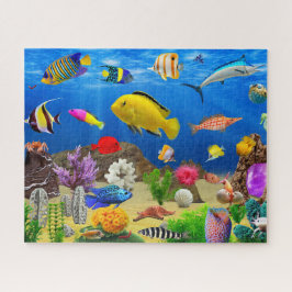 Meeresalgen Korallen Unterwasserleben