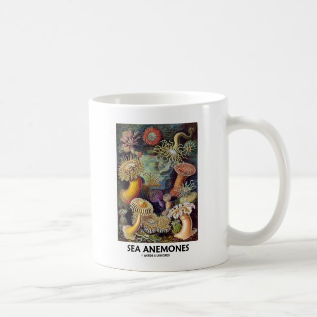 Meeresanemone Kaffeetasse (Rechts)