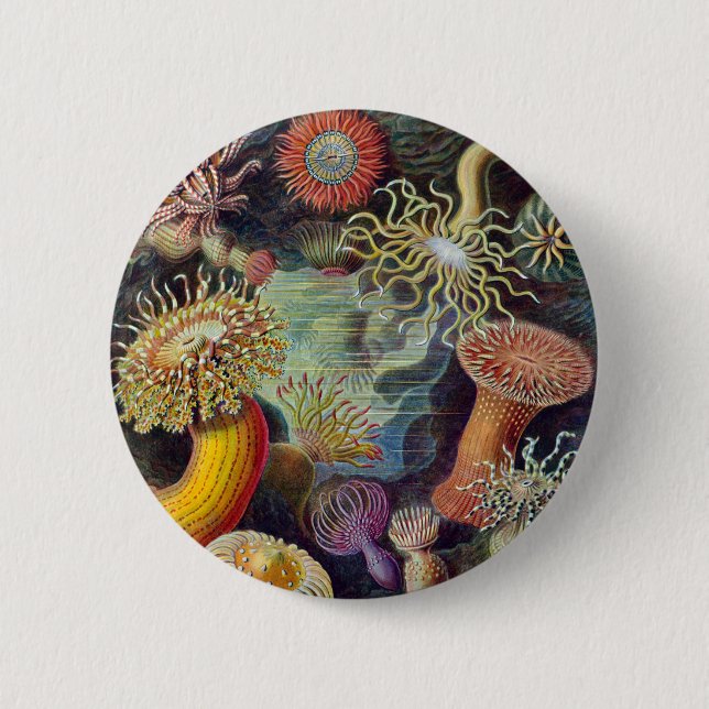 Meeresanemone Wissenschaftlicher Natur Button (Vorderseite)