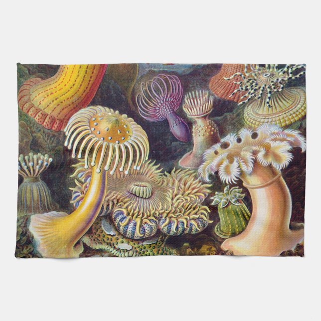 Meeresanemone Wissenschaftlicher Natur Handtuch (Horizontal)