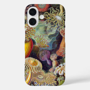 Meeresanemone Wissenschaftlicher Natur iPhone 16 Hülle
