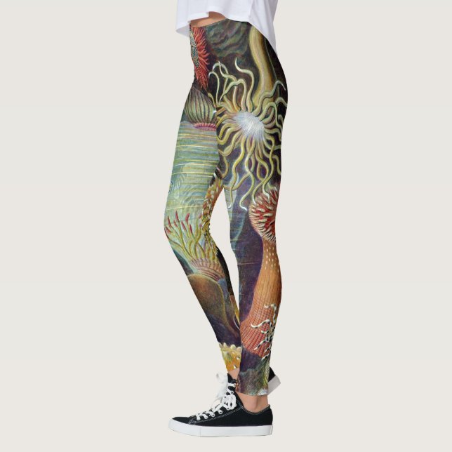 Meeresanemone Wissenschaftlicher Natur Leggings (Links)