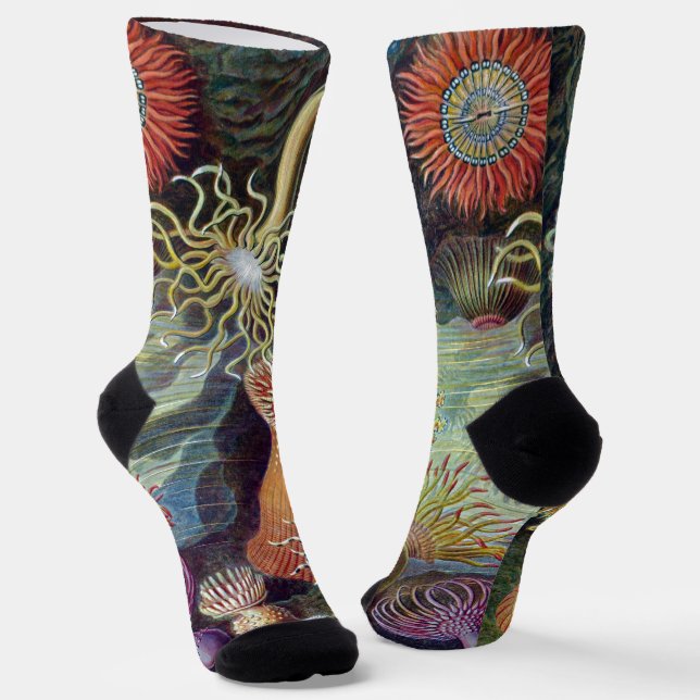 Meeresanemone Wissenschaftlicher Natur Socken (Gewinkelt)