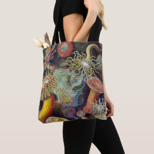 Meeresanemone Wissenschaftlicher Natur Tasche