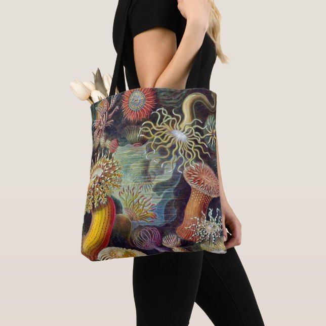 Meeresanemone Wissenschaftlicher Natur Tasche (Von Nahem)