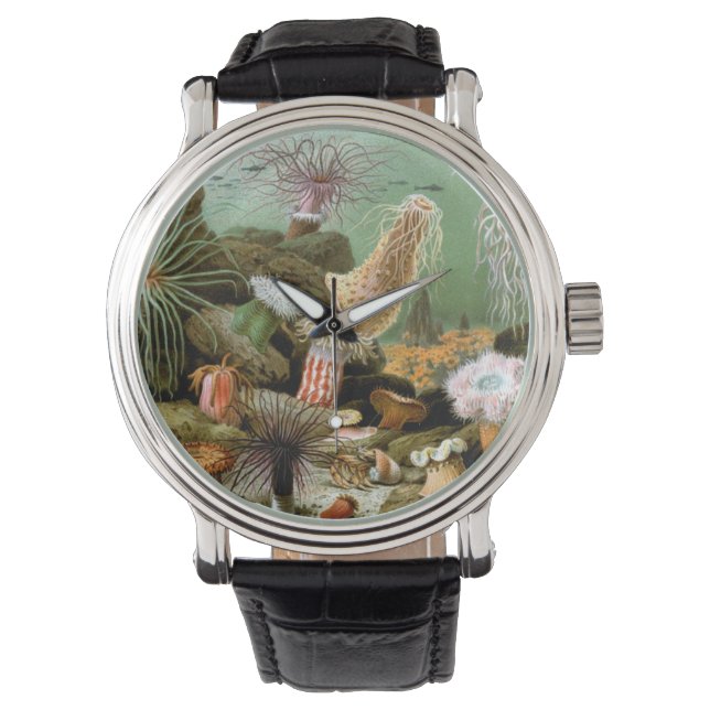 Meeresanemonen, Vintage Meerestiere Armbanduhr (Vorderseite)