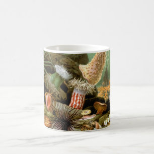 Meeresanemonen, Vintage Meerestiere Kaffeetasse