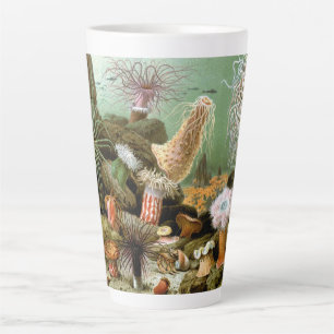 Meeresanemonen, Vintage Meerestiere Milchtasse