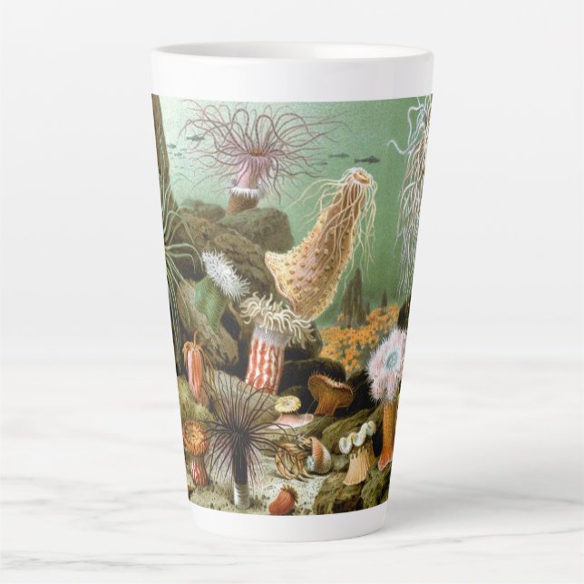 Meeresanemonen, Vintage Meerestiere Milchtasse (Vorderseite)