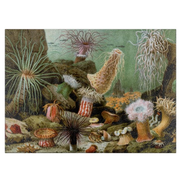 Meeresanemonen, Vintage Meerestiere Schneidebrett (Vorderseite)