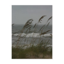 Meeresbrise