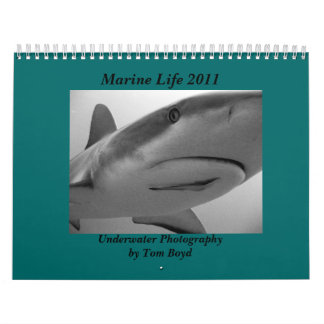 Meeresflora und -fauna 2011 kalender