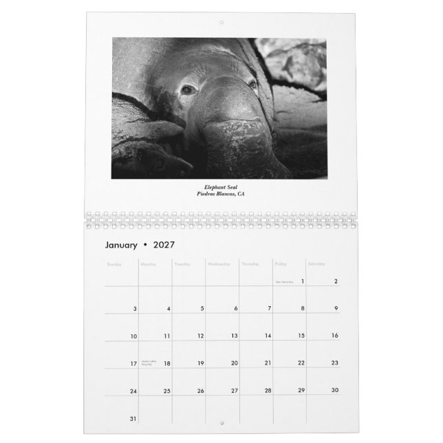 Meeresflora und -fauna 2011 kalender (Jan 2027)