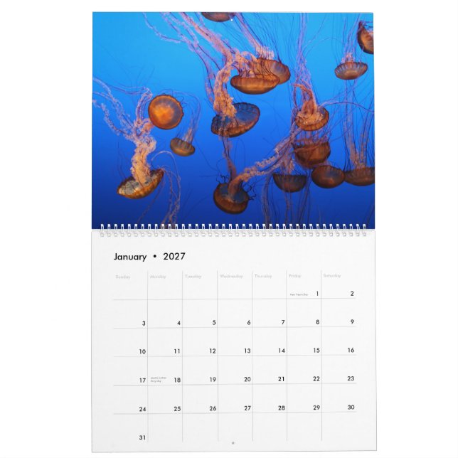 Meeresflora und -fauna kalender (Jan 2027)