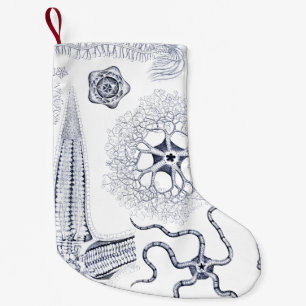 Meeresflora und -fauna-/Marinebiologie-merkwürdig Kleiner Weihnachtsstrumpf