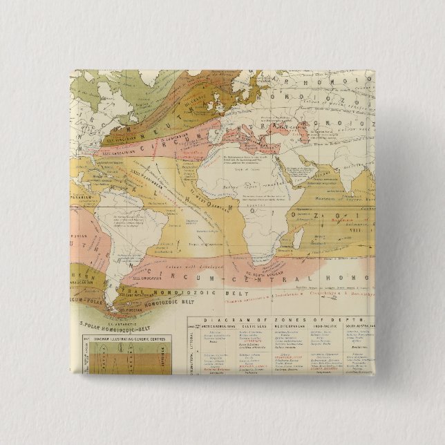 Meeresleben Button (Vorderseite)