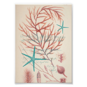 Meeresleben Fotodruck