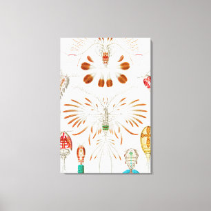 Meeresleben Krebstiere, Copepoda von Ernst Haeckel Leinwanddruck