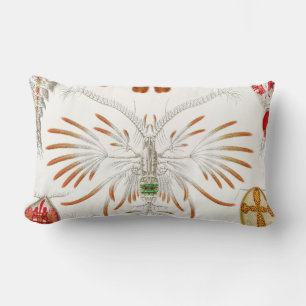 Meeresleben Krebstiere, Copepoda von Ernst Haeckel Lendenkissen