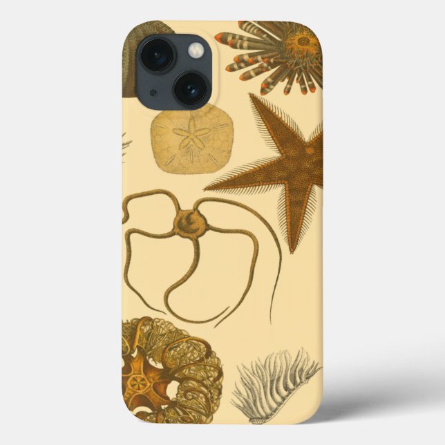 Meereslebewesen Case-Mate iPhone Hülle (Rückseite)