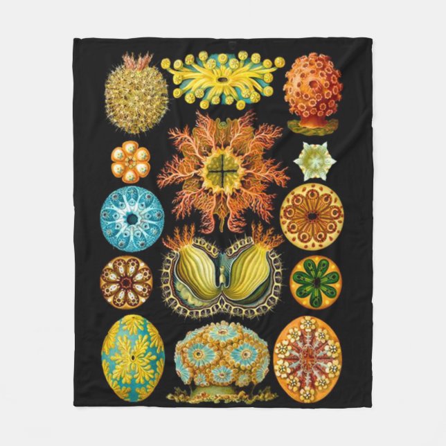 Meereslebewesen drucken fleecedecke (Vorderseite)