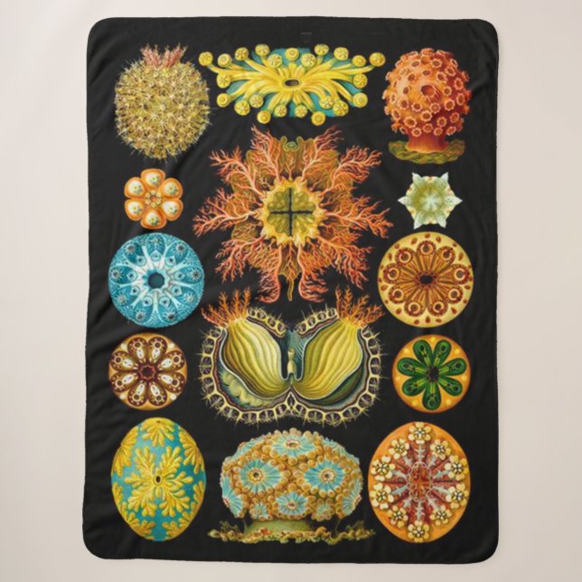 Meereslebewesen drucken sherpadecke (Vorderseite)
