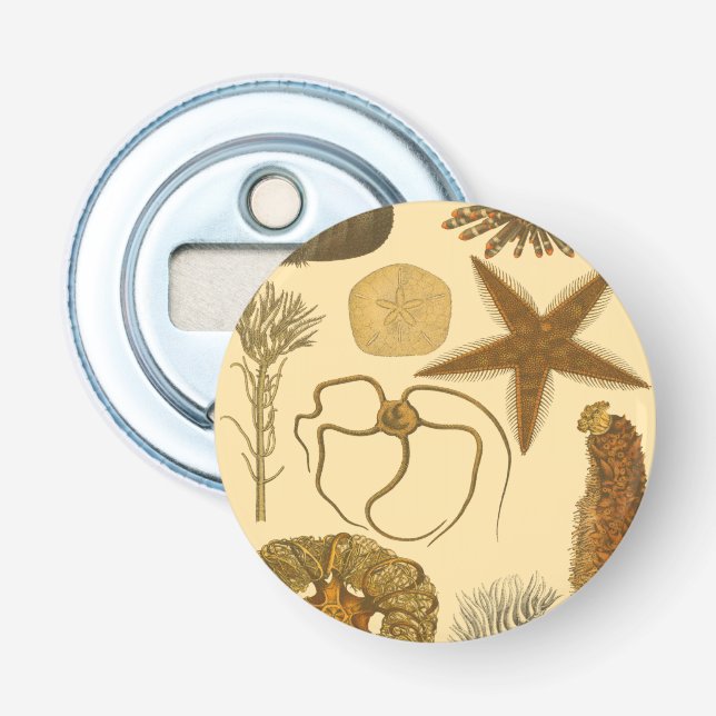 Meereslebewesen Flaschenöffner (Vorderseite)