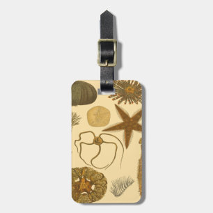 Meereslebewesen Gepäckanhänger