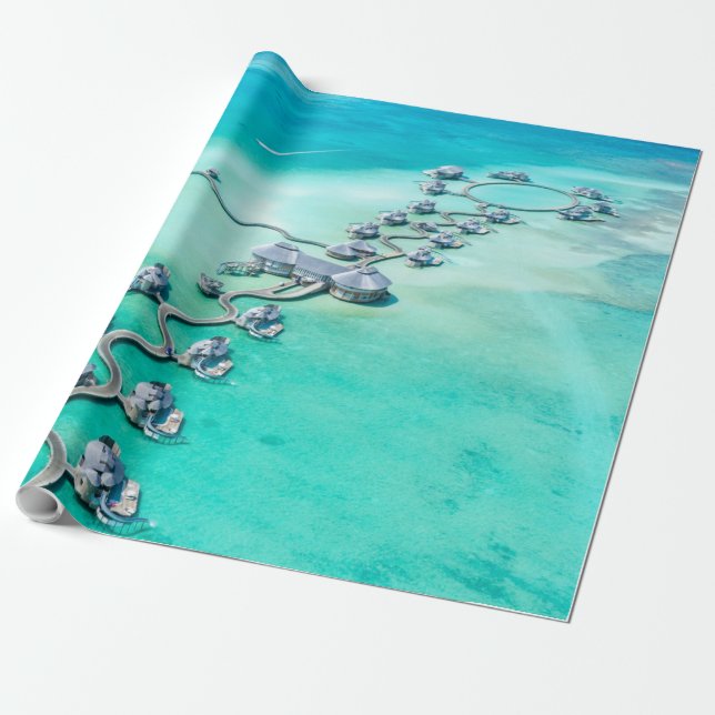 Meereslebewesen Geschenkpapier (Ungerollt)