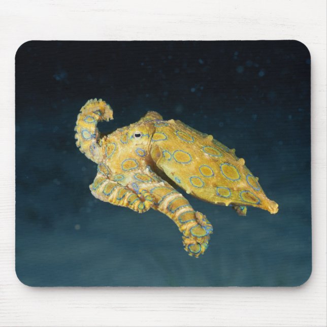 Meereslebewesen - Oktopus Mousepad (Vorne)