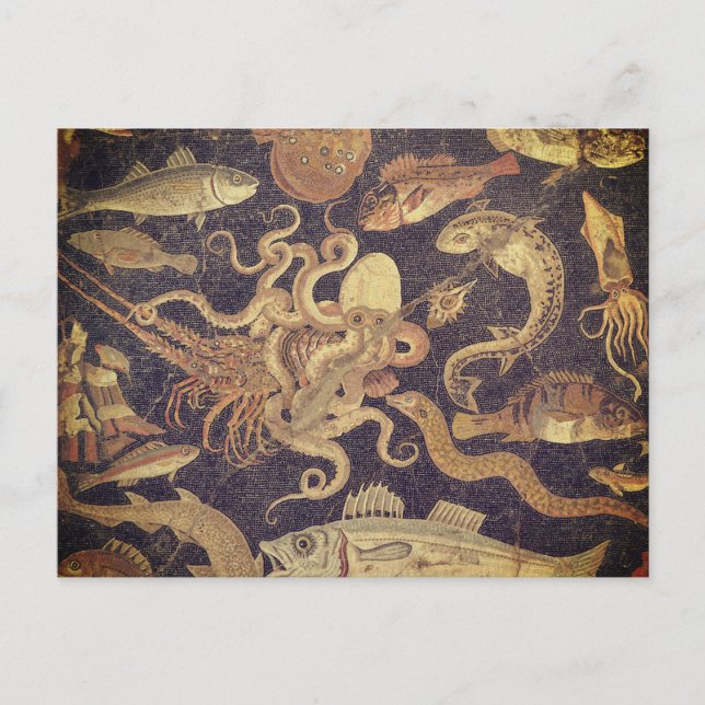 Meereslebewesen, Pompeji-Mosaik Postkarte (Vorderseite)