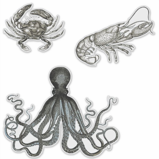 Meereslebewesen Transparente Vinyl Stickers Aufkleber (Vorderseite)