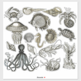 Meereslebewesen Transparente Vinyl Stickers Aufkleber