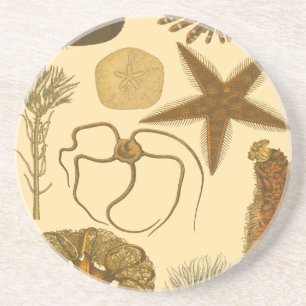 Meereslebewesen Untersetzer