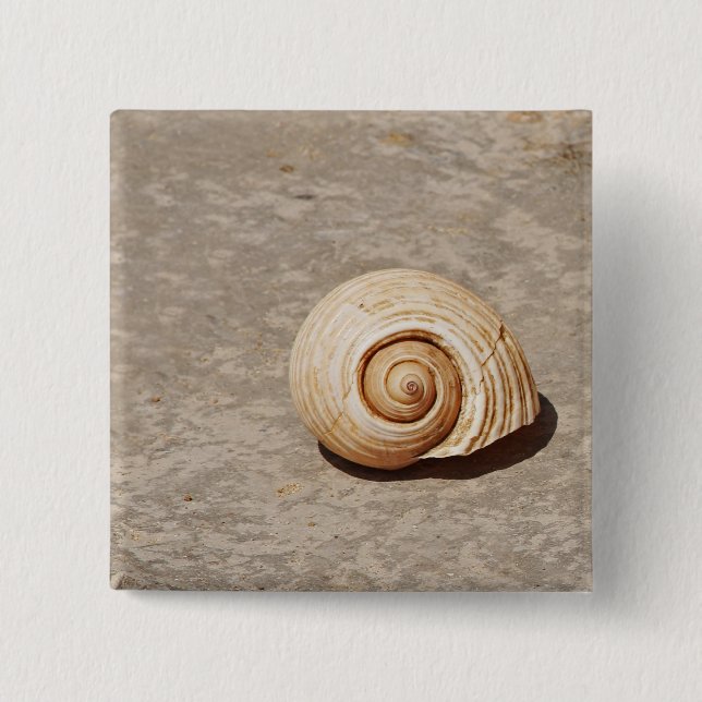 Meeresmuschel Button (Vorderseite)
