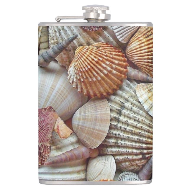 Meeresmuscheln Flachmann (Vorderseite)