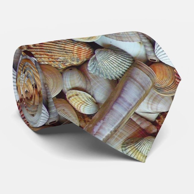 Meeresmuscheln Krawatte (Gerollt)